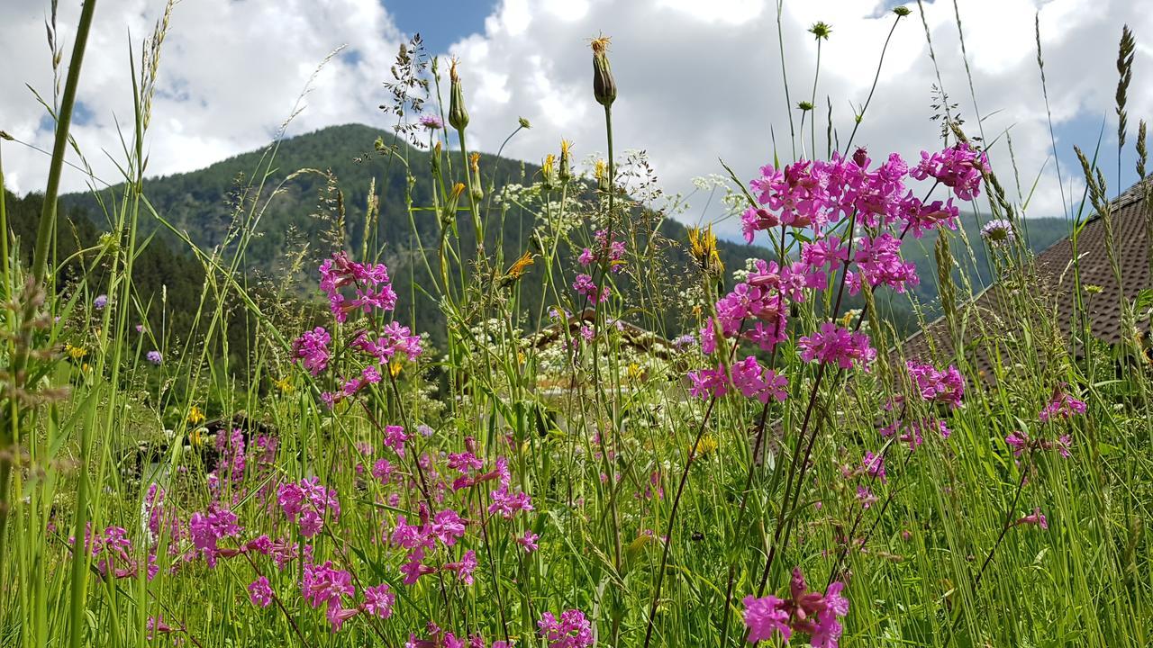 Gasthof Fair Mortschach ภายนอก รูปภาพ